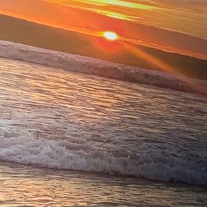 Meet your Posher, Nora